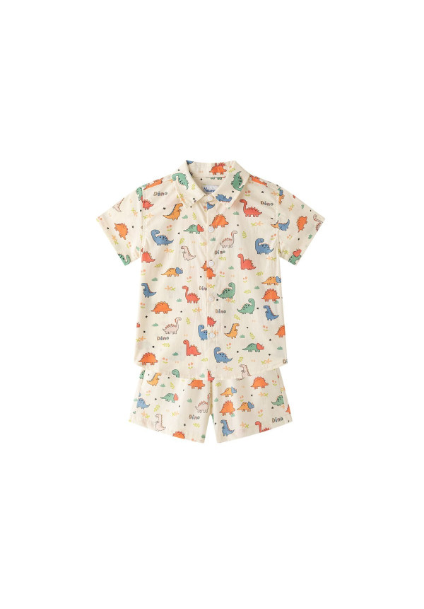 Conjunto Dinosaur