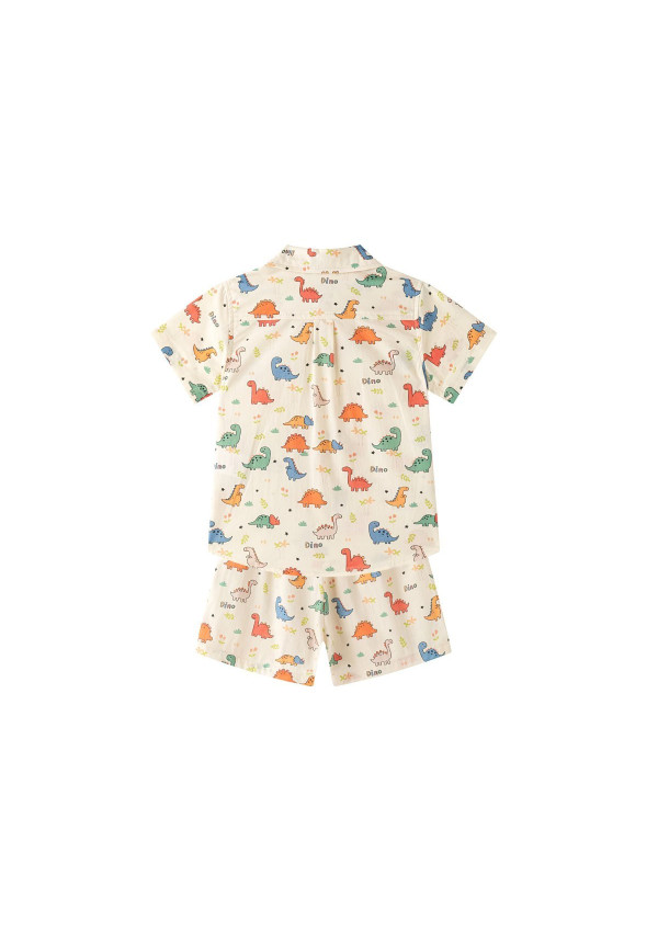 Conjunto Dinosaur