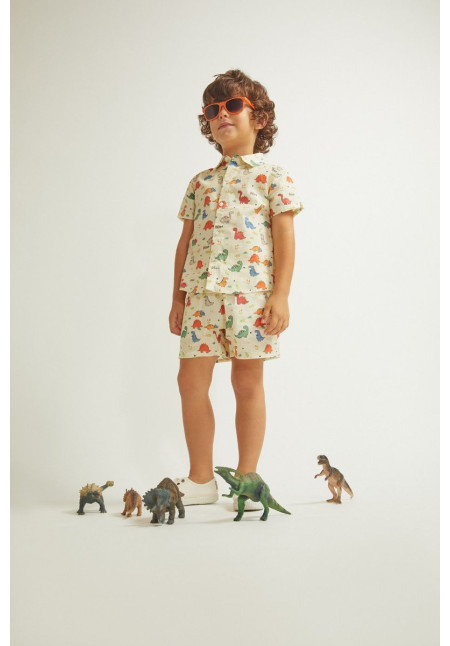 Conjunto Dinosaur