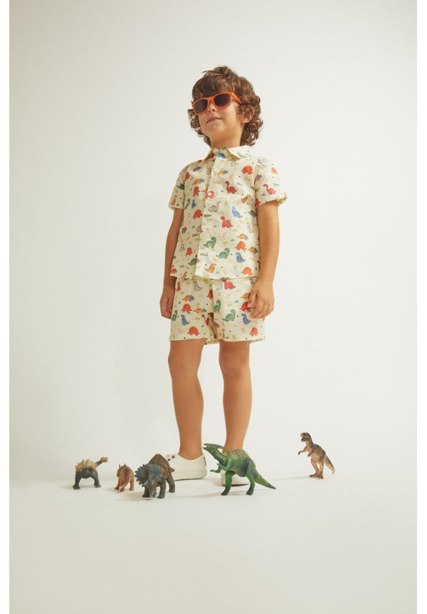 Conjunto Dinosaur