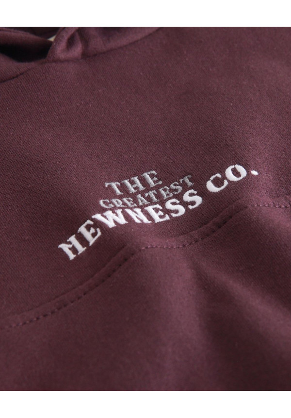SUDADERA NEWNESS CO.