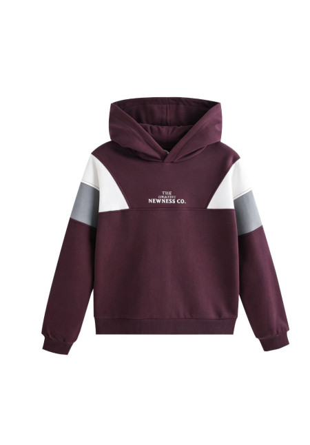 SUDADERA NEWNESS CO.